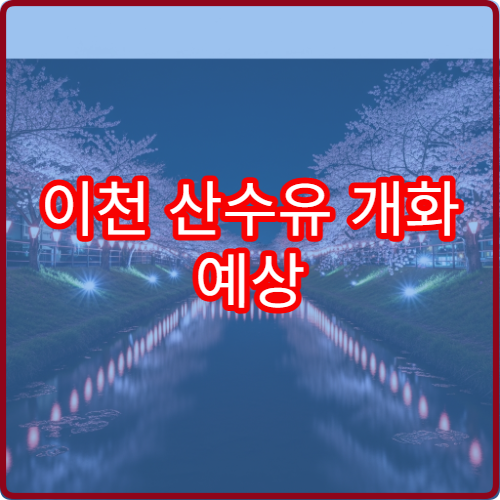 이천 산수유 개화 예상 산수유꽃 절정