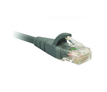 Nexxt Solutions Cat6 UTP Patch Cable - 1ft - Gray