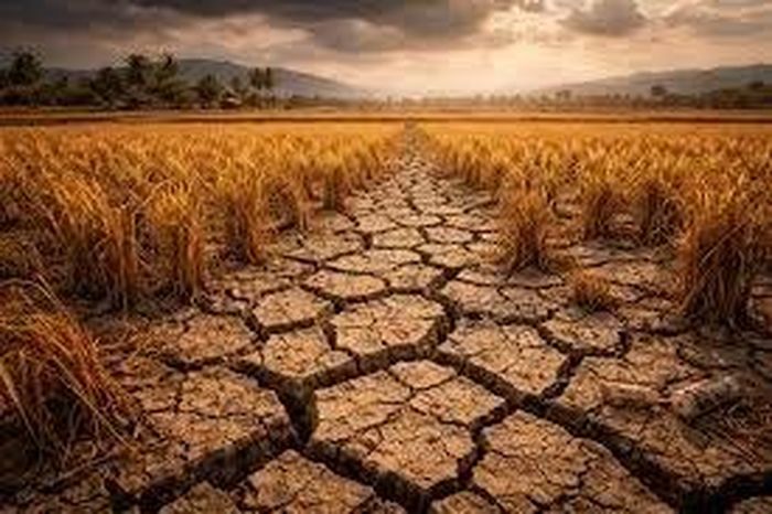 Nguy cơ siêu El Nino tái diễn năm 2026, đe dọa thế giới - Báo Tri thức &amp; Cuộc sống