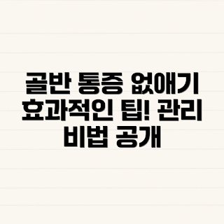 골반 통증 관리, 골반 통증 치료, 골반 통증 원인, 통증 완화 방법, 골반 건강