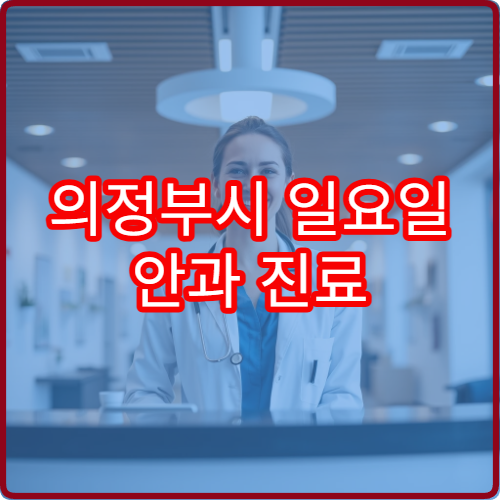 의정부시 일요일 안과 진료 병원 결막염·다래끼 치료 가능