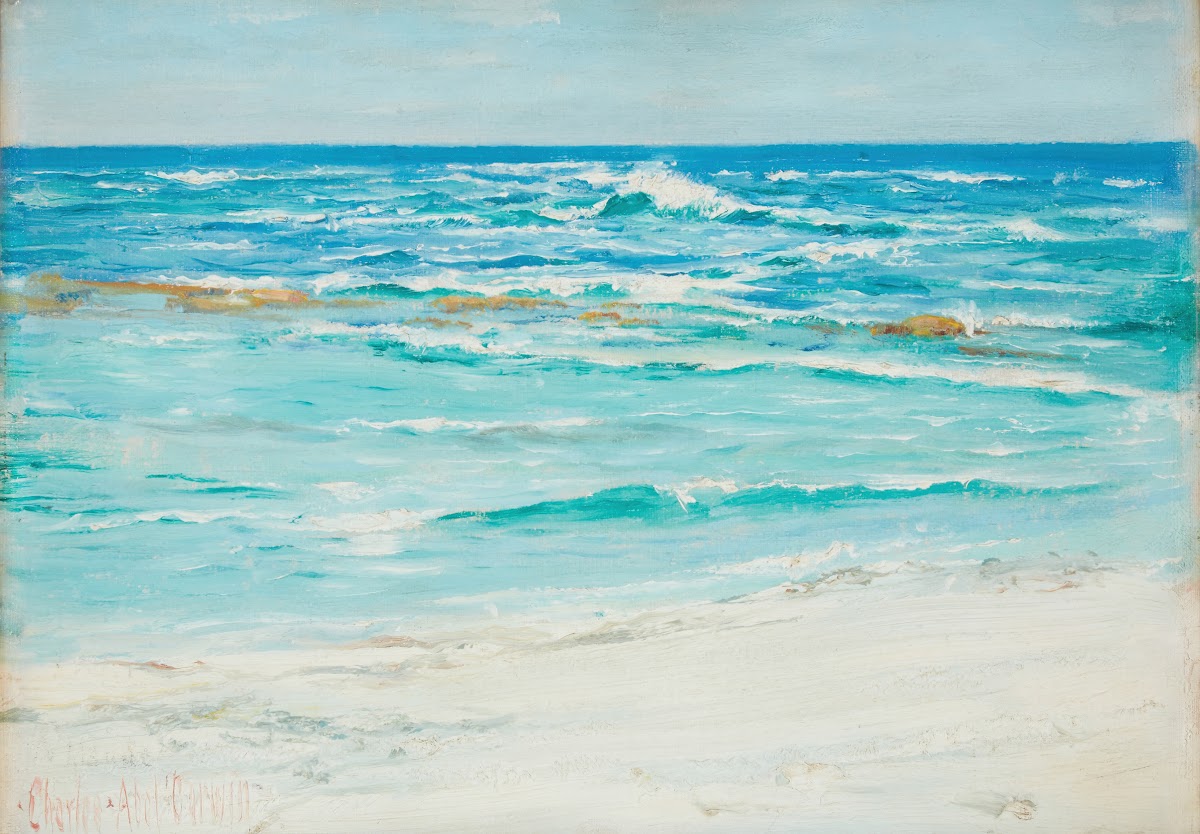 The Windward Shore of Laysan Island 1911