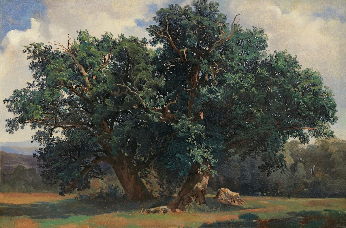 Landscape With Oak Trees