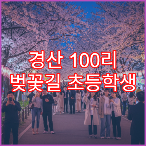경산 100리 벚꽃길 초등학생 동반 안전 산책로 완벽 동선 정리