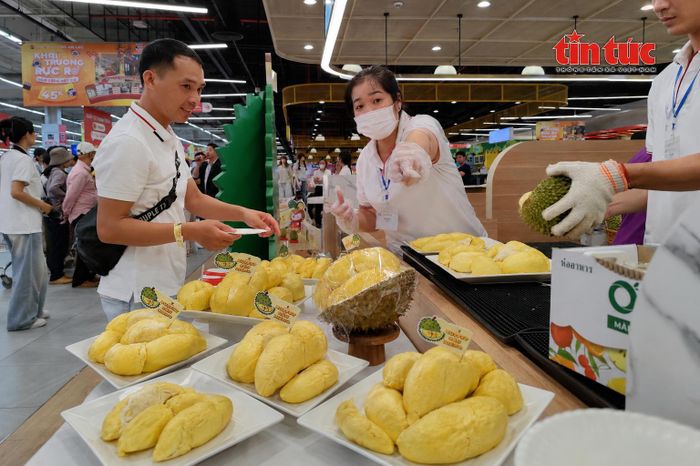 Buffet sầu riêng thưởng thức không giới hạn hút khách tại TP Hồ Chí Minh - Báo Tin Tức TTXVN