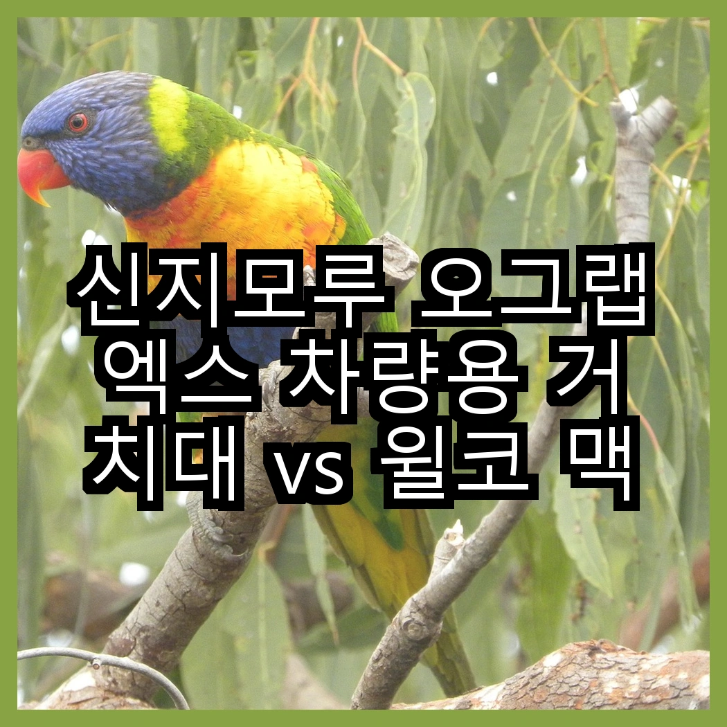 신지모루 오그랩엑스 차량용 거치대 vs 윌코 맥세이프 스마트 톡 거치대, 어떤 선택이 더 스마트할까? 썸네일