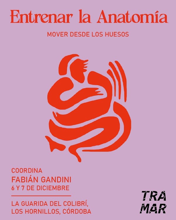 Entrenar la Anatomía. Mover desde los huesos