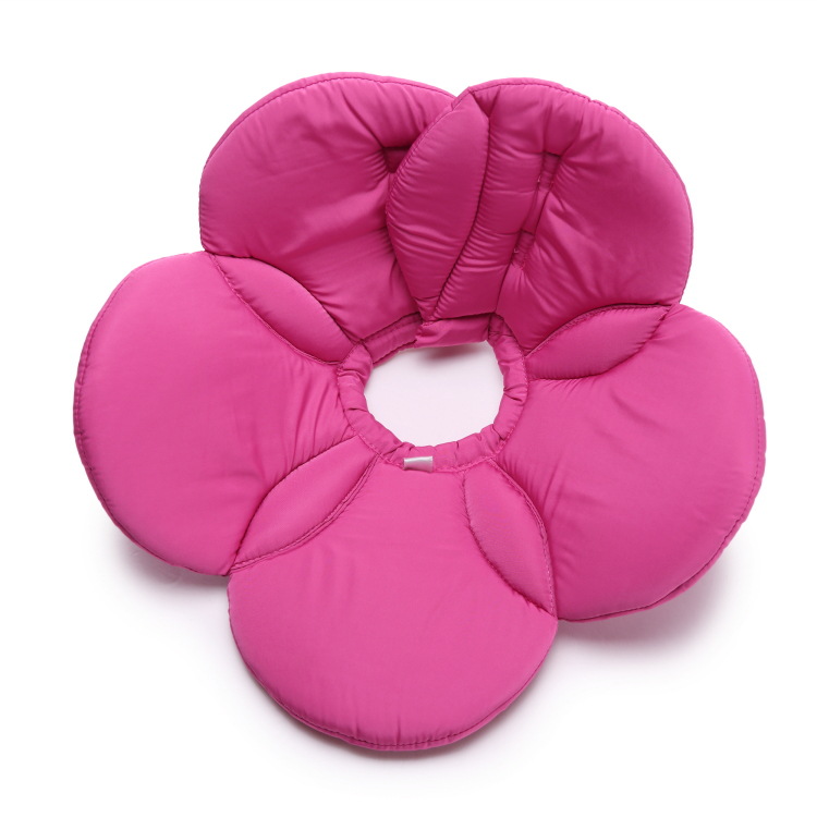 Protective collar for dogs and cats