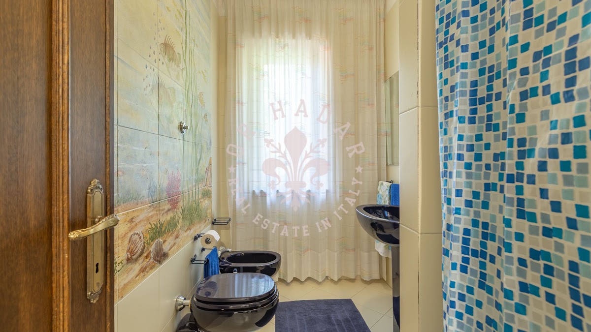 החמניות של ארינה (I Girasoli di Erina) — 22