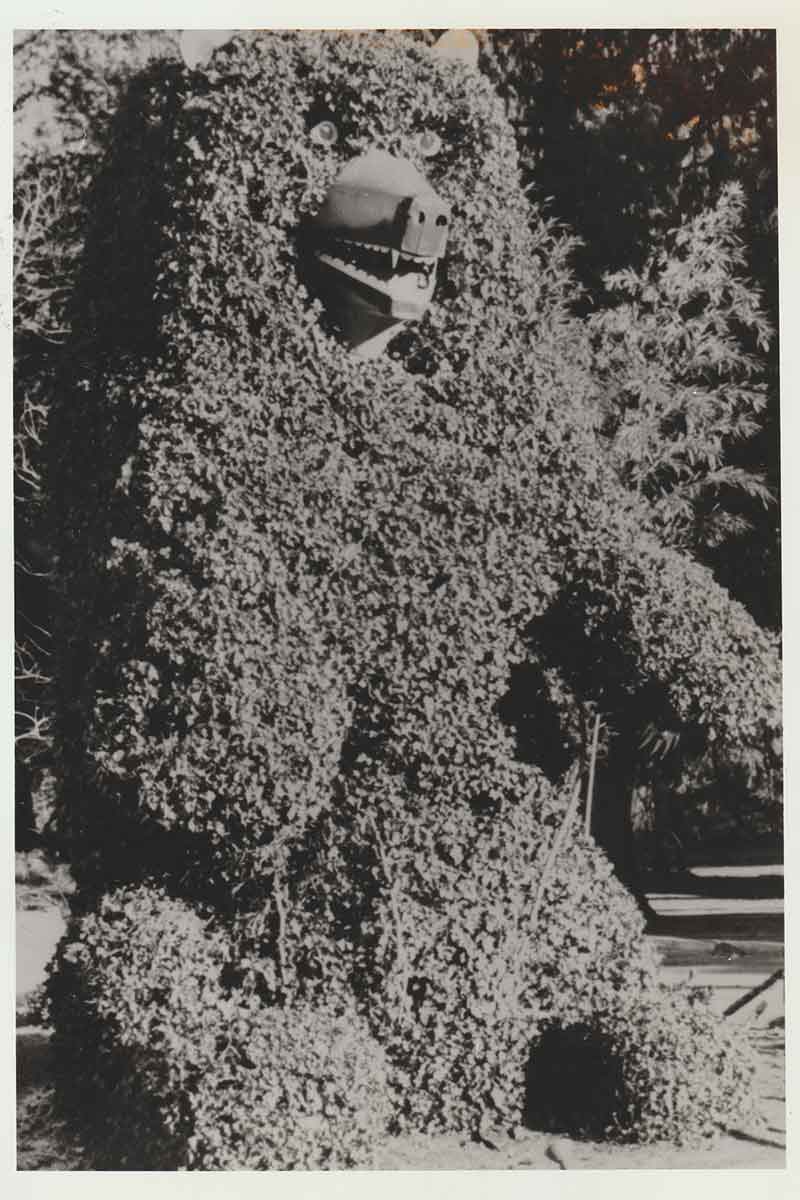 The Ivy Bear showing the original eye which were replaced by Volkswagen taillights. 