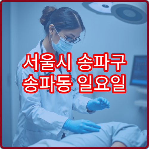 서울시 송파구 송파동 일요일 치과 진료 병원 응급 진료