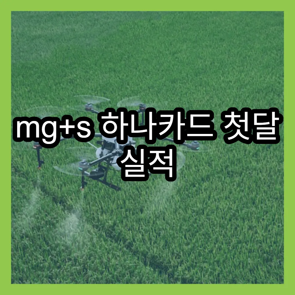 mg+s 하나카드 첫달 실적 혜택과 고객 후기
