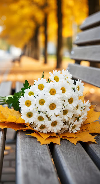 Daisies Bouquet Autumn Maple Leaves Park Bench - Free mobile Wallpaper