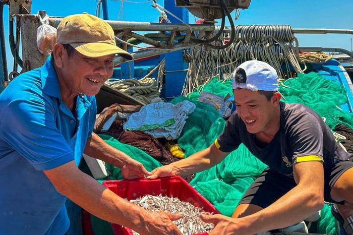 Trúng đậm cá cơm, ngư dân phấn khởi ngày tàu cập bến - Báo Tiền Phong