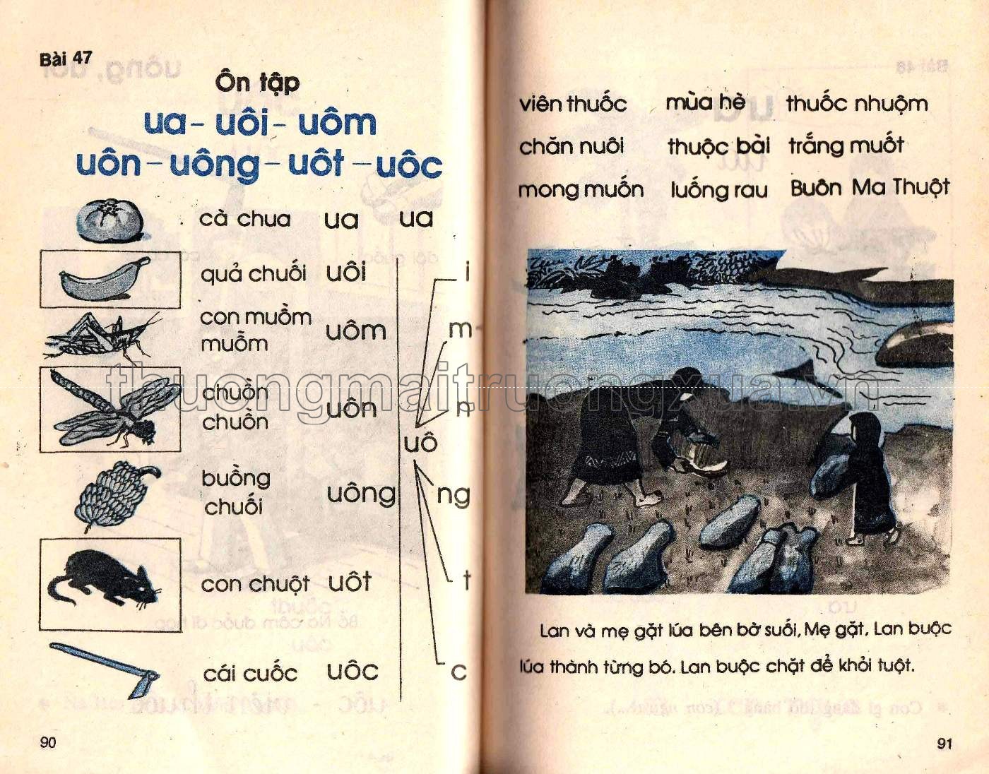 Tiếng Việt 2 (tập 1 - 1990) - Trang 36