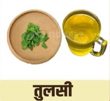 Tulsi