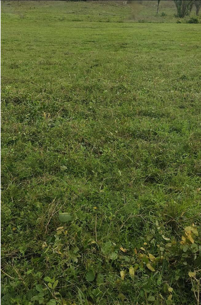 Fazenda em Ourilândia do Norte-PA 9