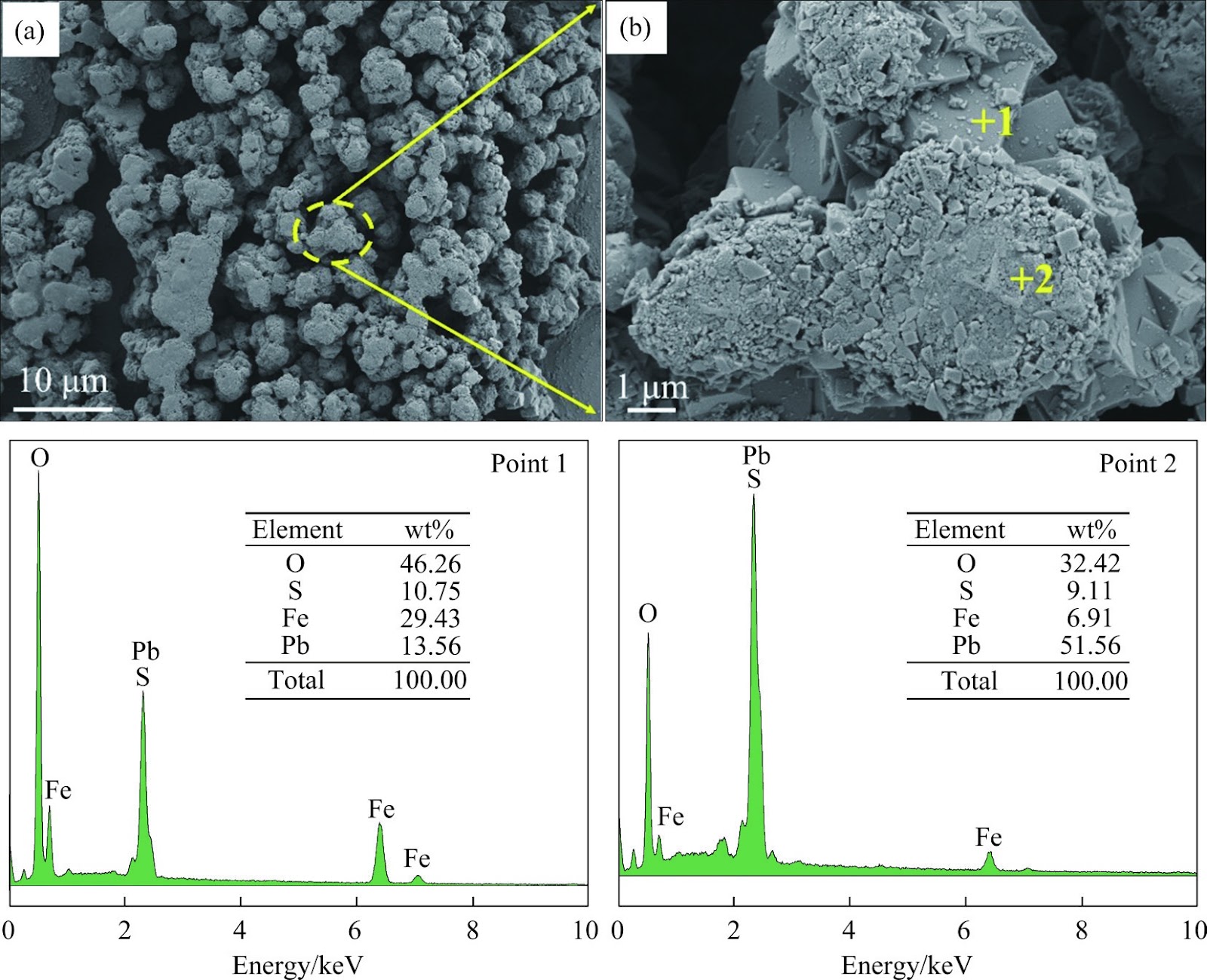 Phase transformation behavior of galena during oxygen pressure leaching in H2SO4-Fe2(SO4)3 system