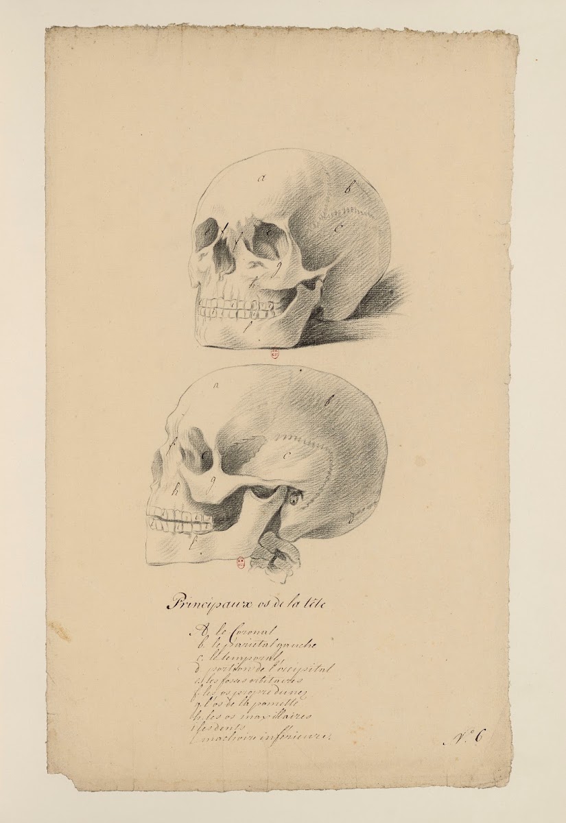 Cahiers dAnatomie Pl05 18th Century
