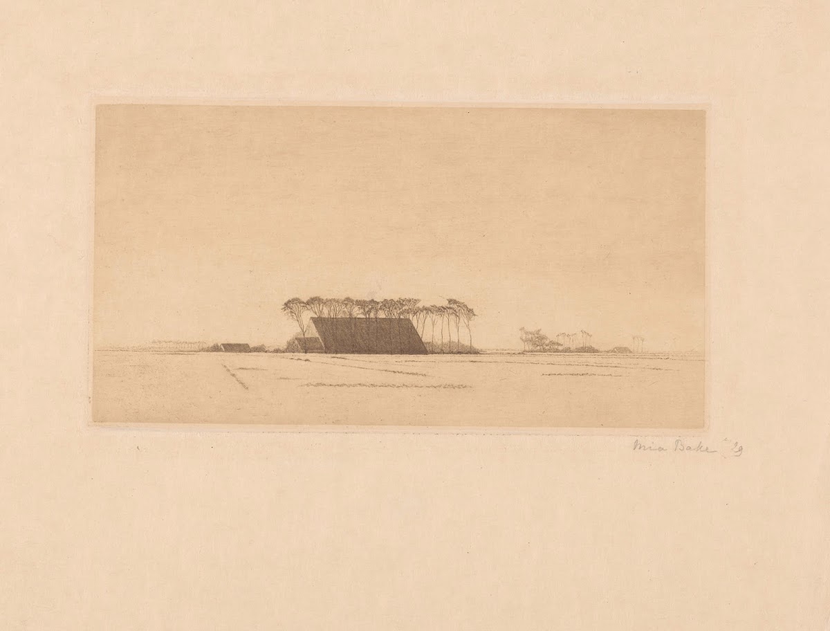 Landschap met boerderijen 1929
