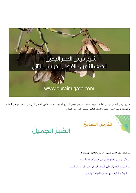 صورة الغلاف