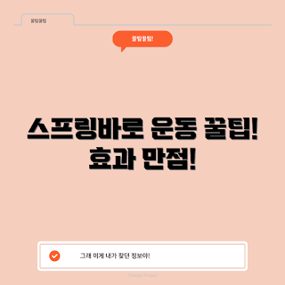 스프링바 운동, 스프링바 팁, 스프링바 활용법, 홈트레이닝, 피트니스 운동