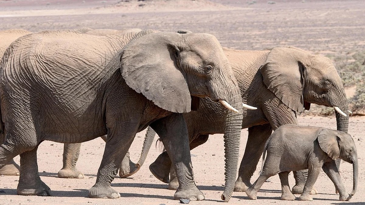 영양제 효능 비교 및 가족 연령대별 맞춤 추천 기준