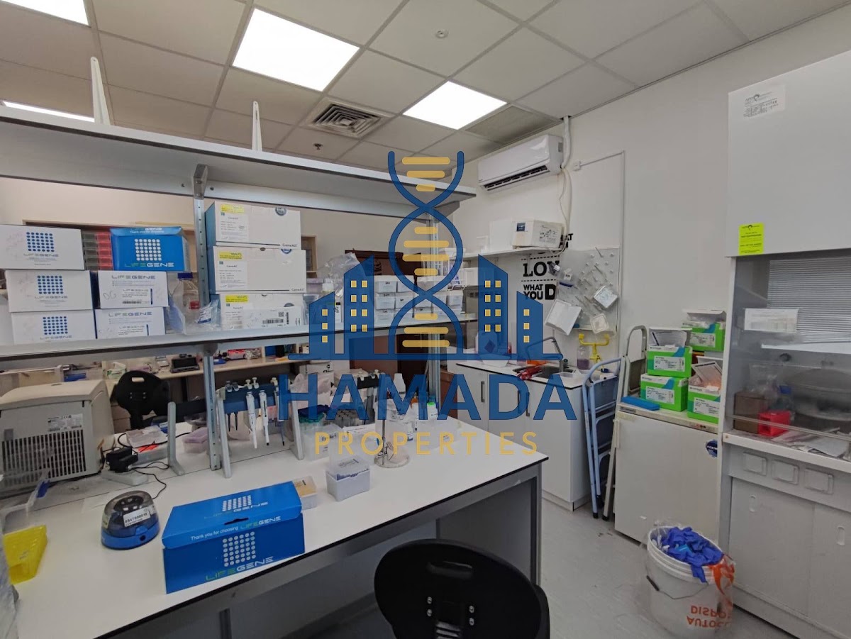 פארק המדע - נס ציונה - office-labs