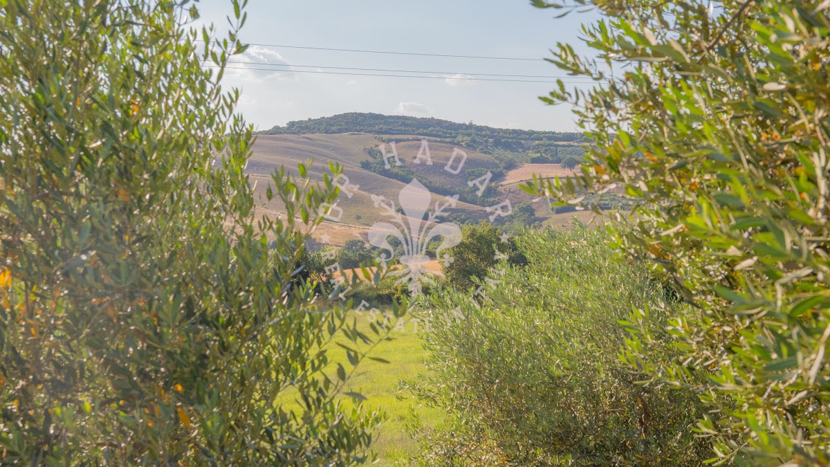 פודרה קמפו דלי אמטי (Podere Campo degli Amati) — 55