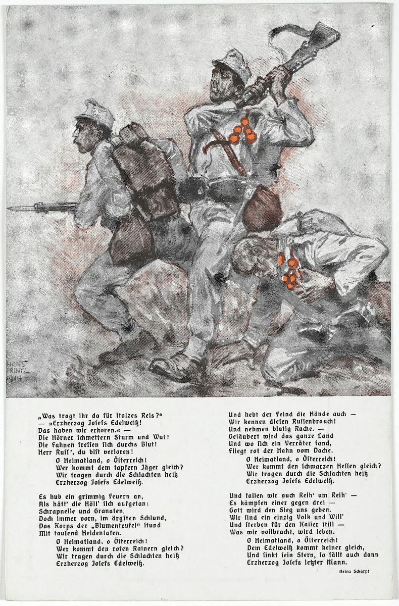 Die Muskete 19141915