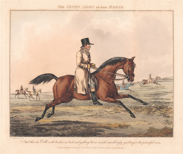 The Seven Ages of the Horse 7 1825