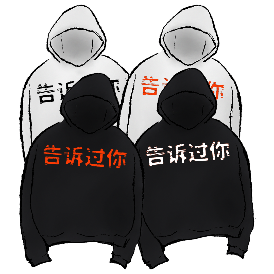 Yeezy HD-01 (TOLD YOU) product image