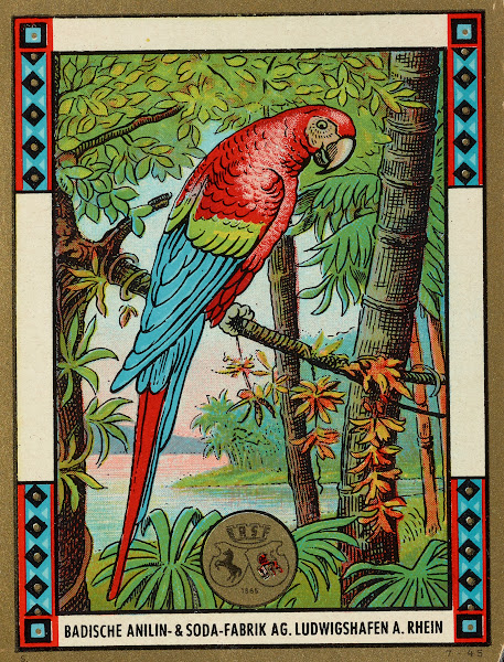Badische Anilin  Soda Fabrik dye label with macaw Circa 1900