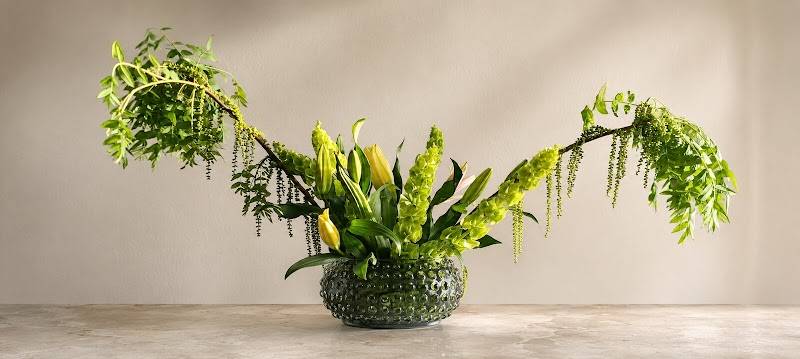 Green Yellow Botanical