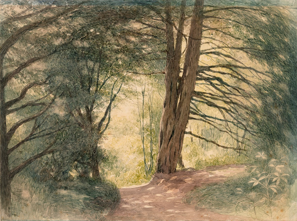 Boxhill Surrey