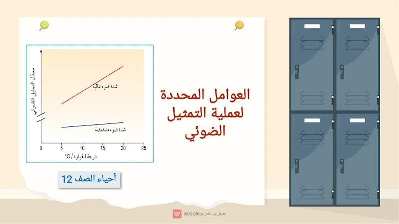 صورة الغلاف