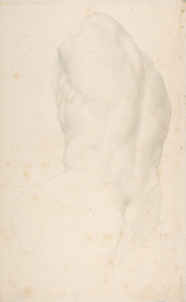 Torso of the Belvedere 18371911