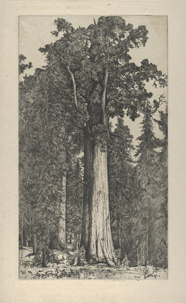 General Sherman 1900 1925
