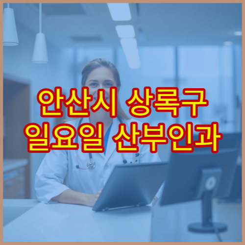 안산시 상록구 일요일 산부인과 진료 병원 여성검진·질염 치료 가능