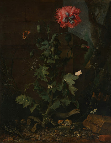 Still Life with Poppy Insects and Reptiles ca 1670
