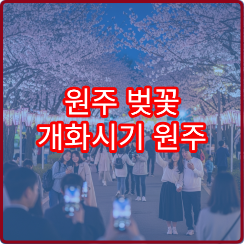 원주 벚꽃 개화시기 원주 벚꽃 명소 개화 정보