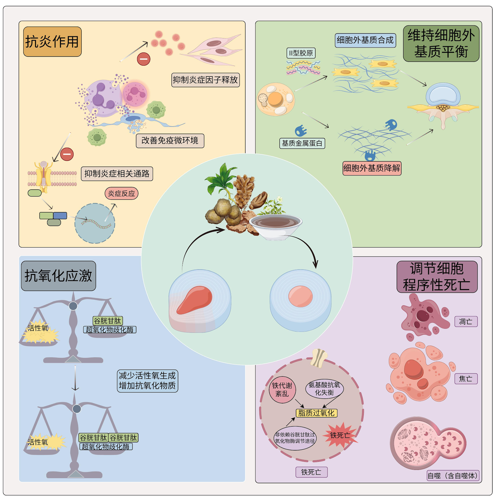 Traditional Chinese Medicine compound formula and effective ingredients for treating intervertebral disc degeneration: a multi-targeted and holistic regulation concept