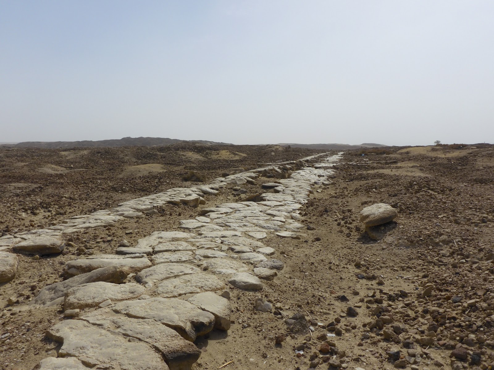 Archaeological excavations and research in Antinoupolis (Egypt)