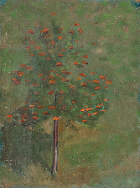 Obstbaum 1920