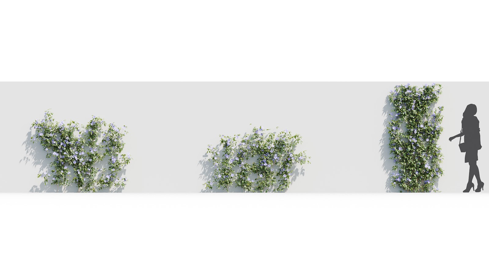 Maxtree - Plant Models Vol.37