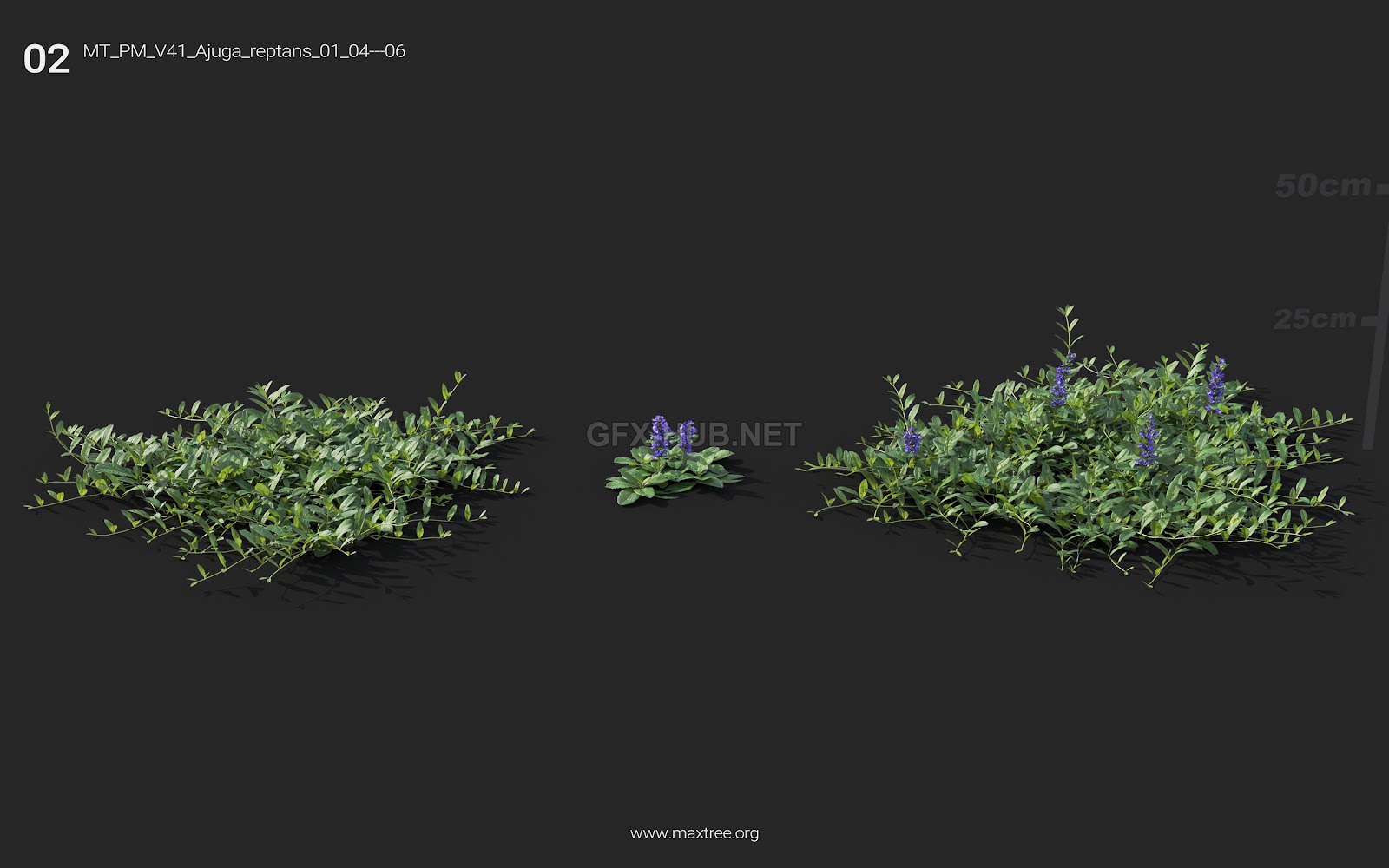 Maxtree - Plant Models Vol.41