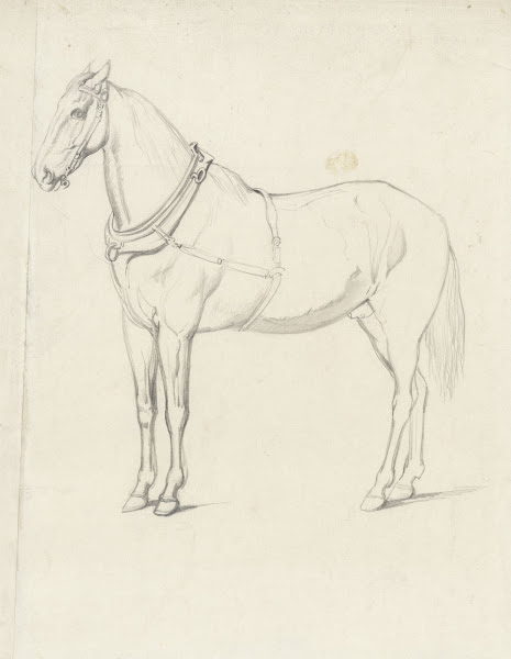 Staand Paard Naar Links