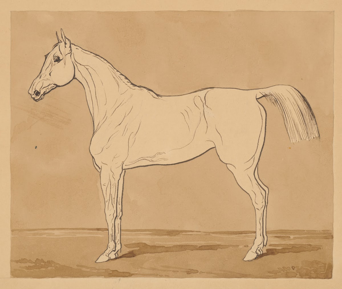 Study of a Horse II