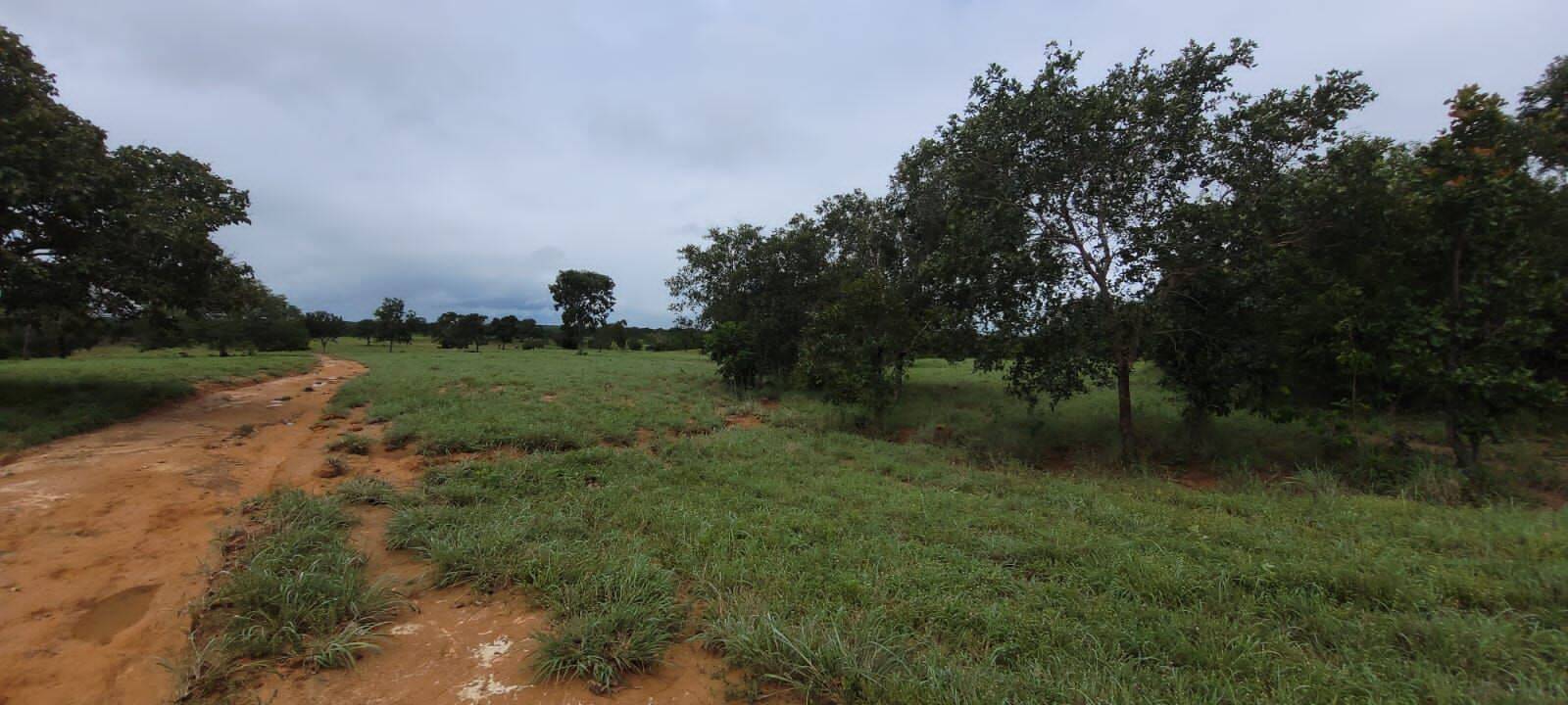 Fazenda em Porangatu - GO 9