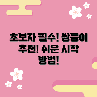 쌍둥이바디필로우, 필로우 추천, 편안한 수면, 초보자 가이드, 수면 용품